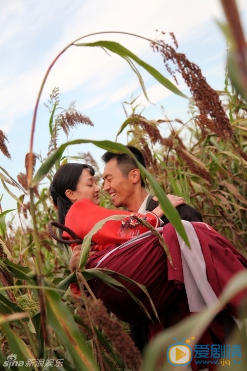 紅高粱劇情介紹